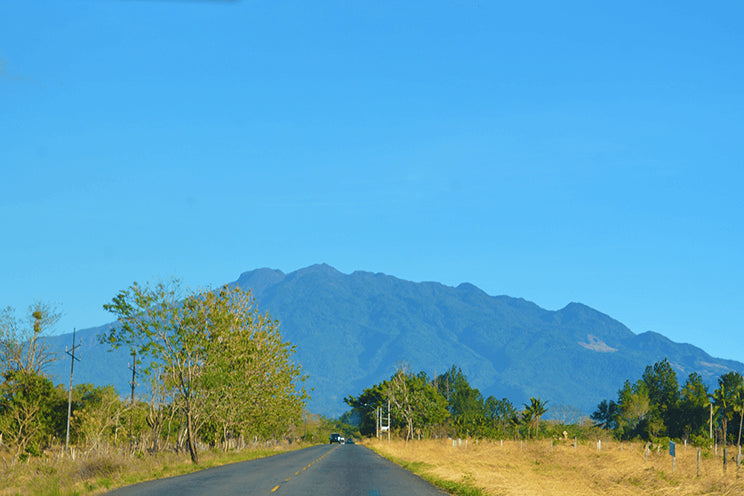 ライフスタイルマガジン「Cafend」で連載中のコーヒーコラム『Coffee Talk』のvolume.4が配信されました。