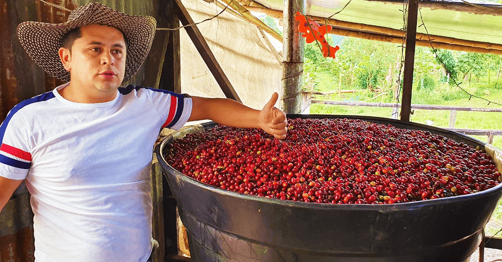 【新商品のお知らせ】カップ オブ エクセレンス コロンビア #20 ユーカリプトス農園