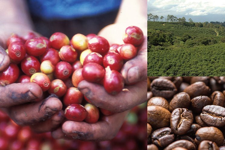 流山店コーヒーセミナーのご案内(1月-2月)