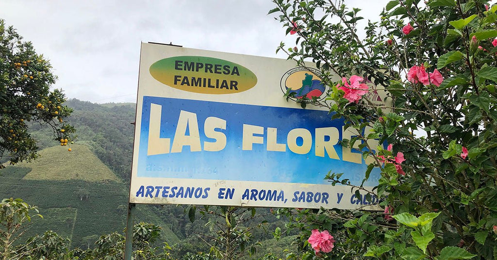 【新商品のお知らせ】パナマゲイシャとコロンビアとブラジルのコーヒー豆3種が入荷しました