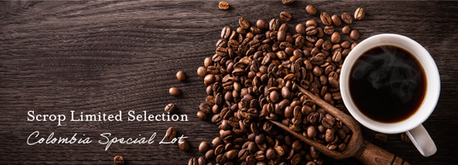 季節のおすすめ