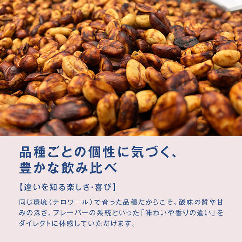 【バリスタセレクション】10月 コスタリカ テイスティングセット