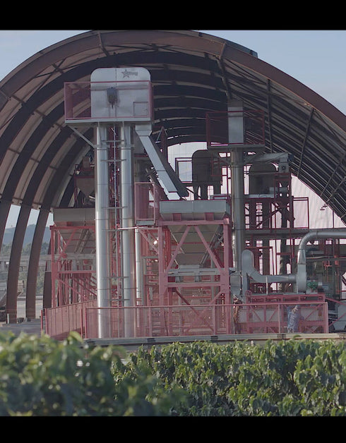 ブラジル イパネマ プレミアクルー B23 ペアー