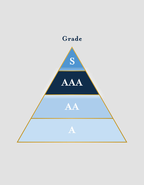 【Scropお試しセット】ゲイシャ2種セット