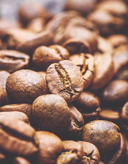 パナマ エスメラルダ農園 ゲイシャ プライベートコレクション